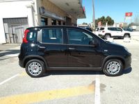 usata Fiat Panda 1.0 70CVHybrid KM0