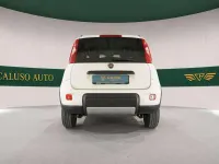 Usata Fiat Panda Cross Cross 86 CV (63 kW) 2019 Bianco Utilitaria
