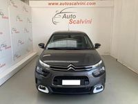 usata Citroën C4 Cactus BlueHDi 100 S&S Shine