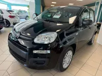 Nuova Fiat Panda Icon 69 CV (50 kW) 2025 Blu/azzurro Utilitaria