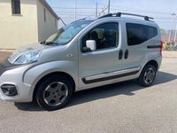 Usata Fiat Qubo Trekking 80 CV (58 kW) 2018 Grigio Monovolume