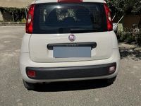 Usata Fiat Panda Young 69 CV (50 kW) 2016 Utilitaria