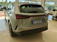 Usata Lexus NX450h+ Luxury Line 184 CV (135 kW) 2022 Grigio SUV