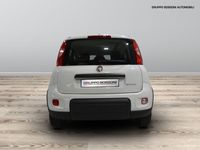 usata Fiat Panda 1.0 firefly hybrid 70cv city life