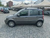 Usata Fiat Panda Dynamic 70 CV (51 kW) 2010 Grigio Utilitaria