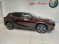 Usata Lexus UX 250h Luxury Line 184 CV (135 kW) 2021 Bronzo SUV