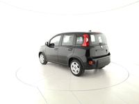 usata Fiat Panda 1.0 FireFly S&S Hybrid nuovo