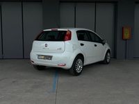 usata Fiat Punto 1.3 MJT II 75 CV 5 porte Street