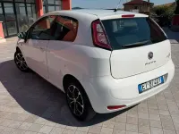 Usata Fiat Punto Evo 75 CV (55 kW) 2013 Bianco Utilitaria