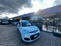Usata Fiat Panda Lounge 95 CV (69 kW) 2016 Bianco Utilitaria