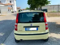 Usata Fiat Panda Dynamic 60 CV (44 kW) 2009 Giallo Utilitaria