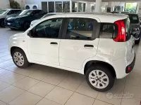 Usata Fiat Panda Easy 80 CV (58 kW) 2018 Bianco Utilitaria