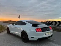 Usata Ford Mustang Fastback 290 CV (213 kW) 2019 Coupé