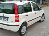 Usata Fiat Panda 75 CV (55 kW) 2011 Bianco Utilitaria
