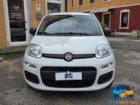 Usata Fiat Panda Easy 70 CV (51 kW) 2021 Bianco Berlina