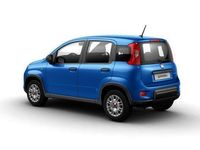 usata Fiat Panda 1.0 FireFly S and S Hybrid