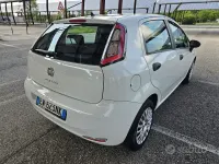 Usata Fiat Punto Lounge 69 CV (50 kW) 2014 Bianco Utilitaria