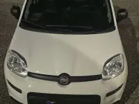 Usata Fiat Panda Cross Cross 69 CV (50 kW) 2022 Utilitaria