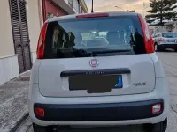 Usata Fiat Panda 60 CV (44 kW) 2013 Utilitaria