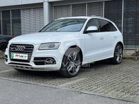 Usata Audi SQ5 Business 313 CV (230 kW) 2014 Bianco SUV