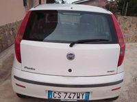Usata Fiat Punto Dynamic 69 CV (50 kW) 2005 Berlina