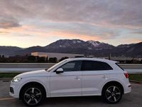 Usata Audi Q5 Business 190 CV (139 kW) 2018 SUV