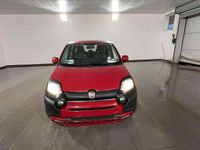 Usata Fiat Panda Cross Cross 69 CV (50 kW) 2023 Rosso Utilitaria