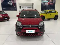 Usata Fiat Panda Cross Cross 70 CV (51 kW) 2024 Rosso Utilitaria