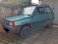 Usata Fiat Panda 4x4 54 CV (39 kW) 1999 Verde Utilitaria