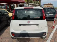 Usata Fiat Panda Young 80 CV (58 kW) 2014 Bianco Utilitaria