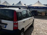 Usata Fiat Panda 4x4 2010 Bianco Utilitaria