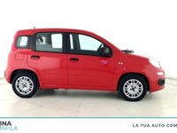 usata Fiat Panda 1.0 1.0 FireFly S&S Hybrid