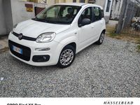 Usata Fiat Panda Star 80 CV (58 kW) 2015 Bianco Berlina
