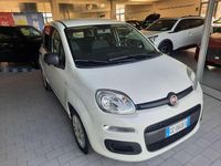 Usata Fiat Panda Easy 69 CV (50 kW) 2020 Bianco gelato Utilitaria
