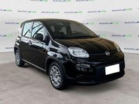 Usata Fiat Panda S 69 CV (50 kW) 2024 Nero seducente (pastello extra Berlina