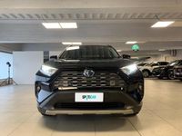 usata Toyota RAV4 Hybrid 