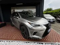 Usata Lexus NX300h Sport Line 197 CV (144 kW) 2021 Grigio SUV