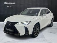 Usata Lexus UX 250h Sport Line 184 CV (135 kW) 2021 Bianco SUV