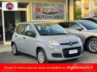 Usata Fiat Panda Easy 69 CV (50 kW) 2017 Grigio Utilitaria