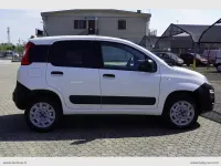 Usata Fiat Panda 4x4 Pop 86 CV (63 kW) 2020 Bianco Utilitaria