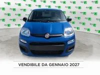 Nuova Fiat Panda Icon 65 CV (47 kW) 2026 Blu Utilitaria