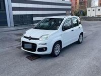 Usata Fiat Panda 2015 Bianco Utilitaria
