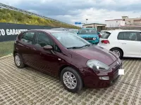 Usata Fiat Punto Lounge 95 CV (69 kW) 2012 Viola Utilitaria