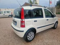 Usata Fiat Panda Dynamic 69 CV (50 kW) 2011 Bianco Utilitaria