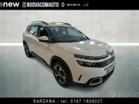 Usata Citroën C5 Aircross PureTech 131 CV (96 kW) 2020 Bianco SUV