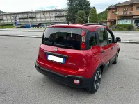 Usata Fiat Panda Cross Cross 65 CV (47 kW) 2025 Rosso Utilitaria
