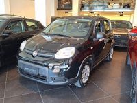 Usata Fiat Panda S 70 CV (51 kW) 2023 Nero Utilitaria