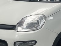 Usata Fiat Panda City Life 109 CV (80 kW) 2022 Bianco Utilitaria
