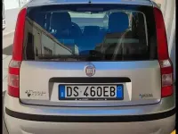 Usata Fiat Panda 60 CV (44 kW) 2008 Grigio Utilitaria
