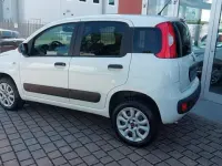 Usata Fiat Panda 4x4 Pop 84 CV (61 kW) 2019 Bianco Utilitaria